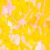 Flora Candle^Stories of Italy New